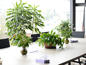 无锡APP开发市场营销团队